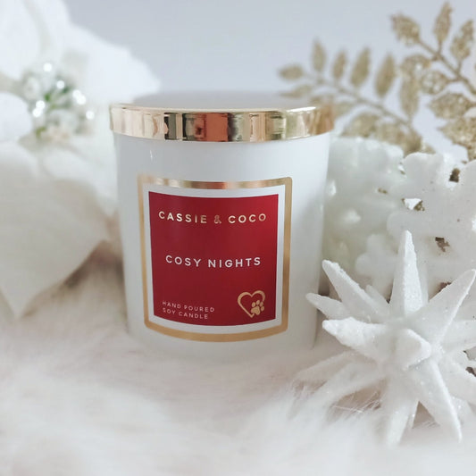 Cosy Nights Soy Candle